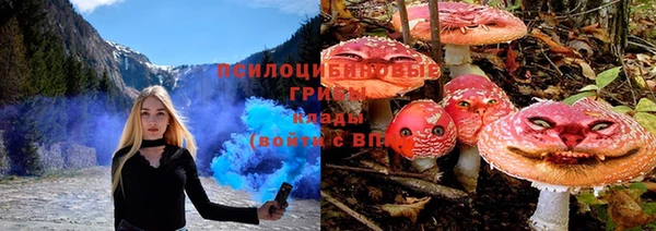 прущая мука Балахна